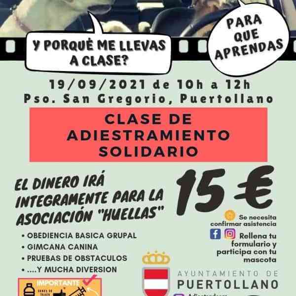 Clase solidaria de adiestramiento canino de la protectora “Huellas” este domingo en Puertollano