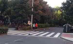 El Paseo de San Gregorio en Puertollano ha sido totalmente peatonal en un domingo sin coches