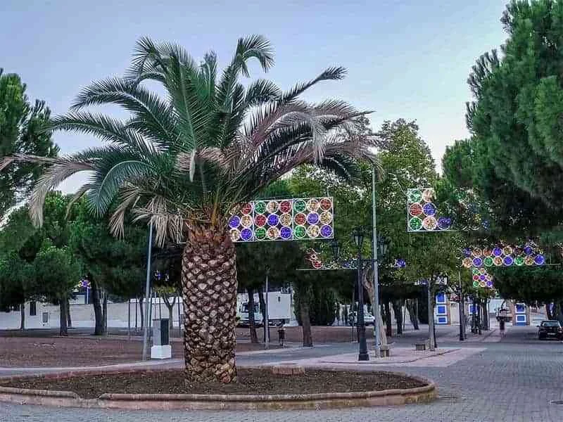 Almodóvar del Campo y la conmemoración de un septiembre festivo, con prudencia en la programación de actividades