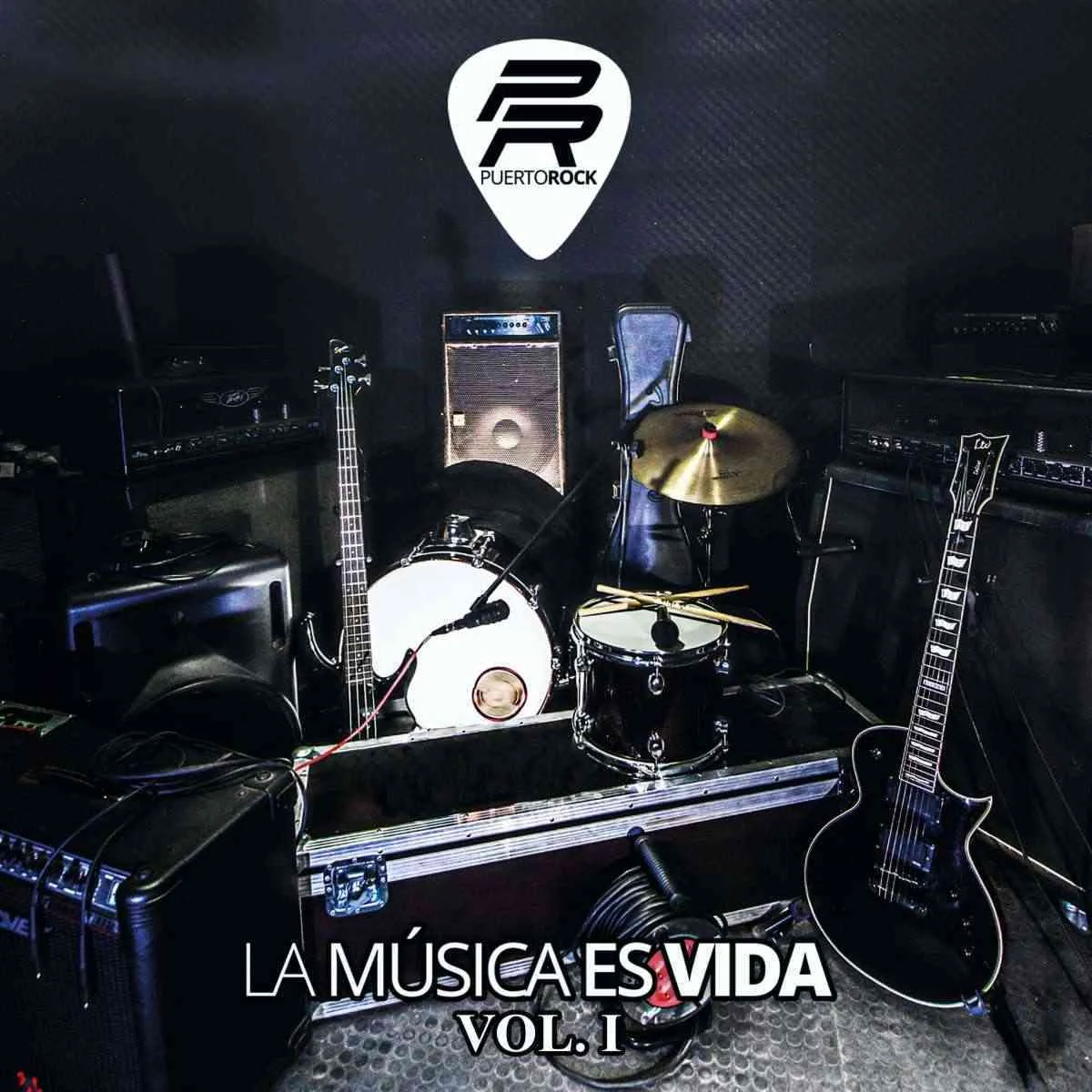 Este sábado presentarán el disco “La música es vida, volumen I” de 14 bandas de Puertollano