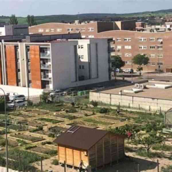 El 5 de noviembre finaliza la presentación de solicitudes para el uso de los huertos sociales de Cuenca