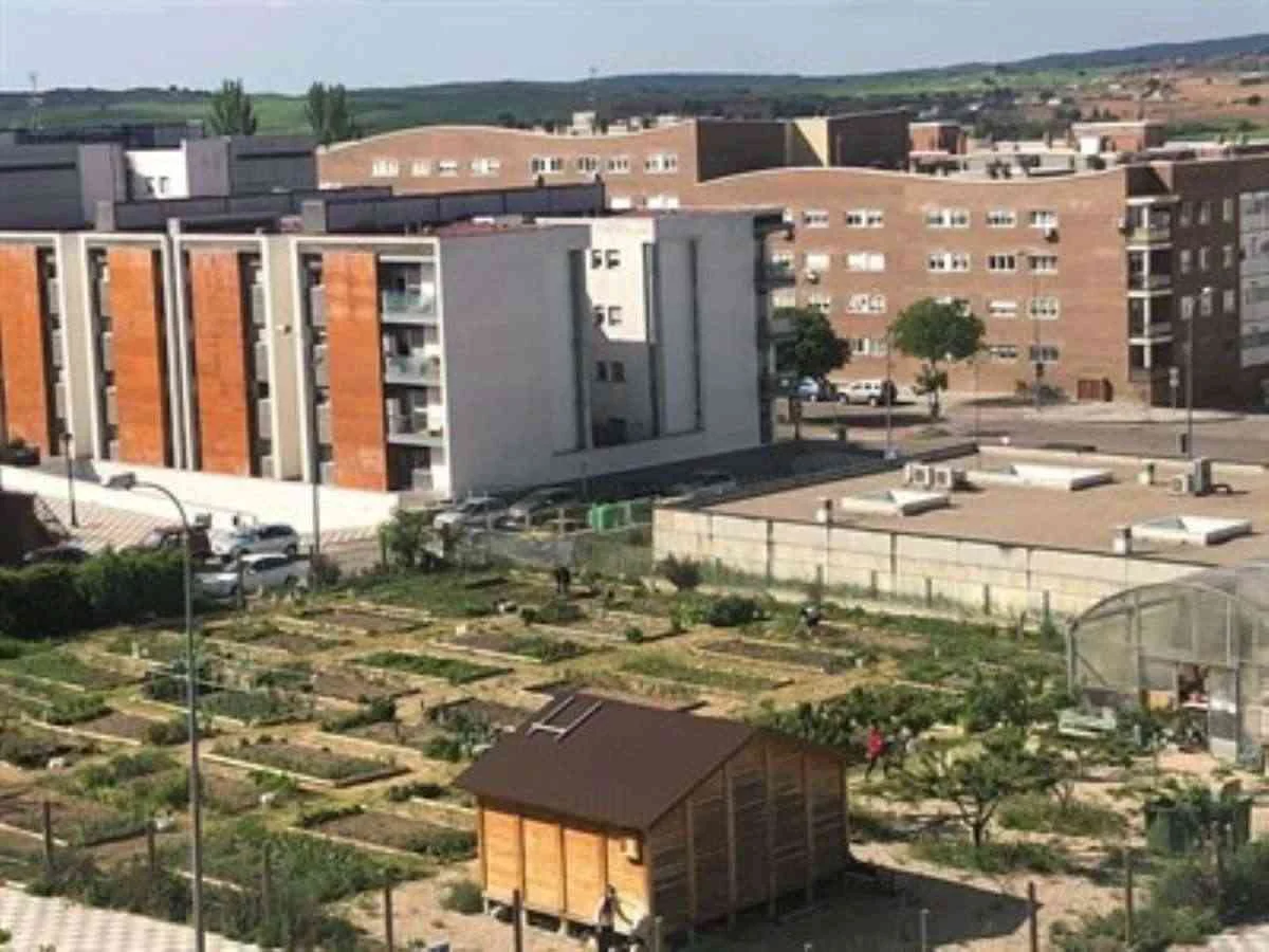 El 5 de noviembre finaliza la presentación de solicitudes para el uso de los huertos sociales de Cuenca