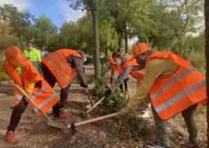 Jornada de plantación popular y limpieza en el Corredor Verde de Puertollano