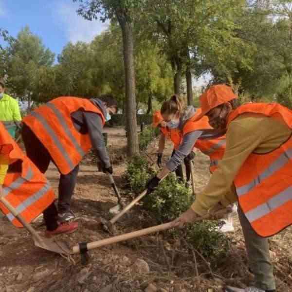 Jornada de plantación popular y limpieza en el Corredor Verde de Puertollano