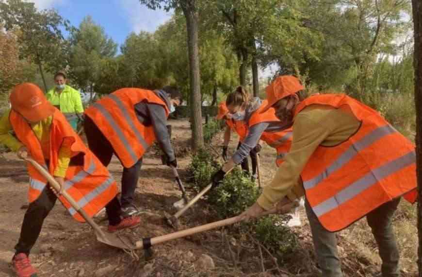 Jornada de plantación popular y limpieza en el Corredor Verde de Puertollano