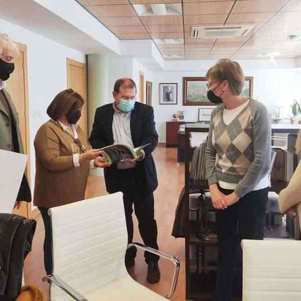 Protocolo para favorecer la inclusión laboral de las personas con discapacidad intelectual en Puertollano