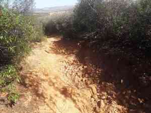 Acondicionarán 7 kilómetros de caminos de Mineros, Arroyos Malos y Fuencaliente de Puertollano con inversión de 126.057 euros