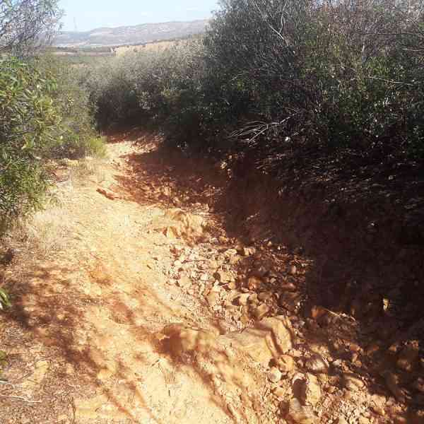 Acondicionarán 7 kilómetros de caminos de Mineros, Arroyos Malos y Fuencaliente de Puertollano con inversión de 126.057 euros