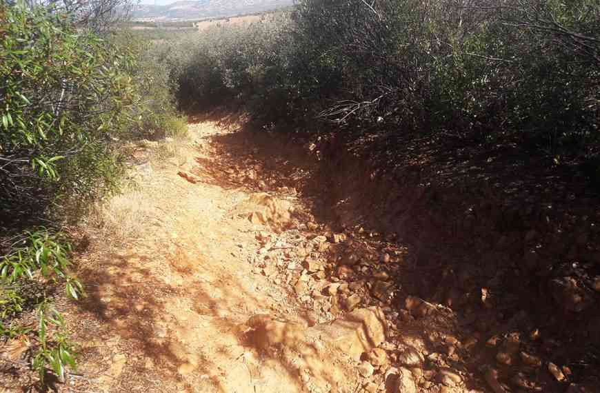 Acondicionarán 7 kilómetros de caminos de Mineros, Arroyos Malos y Fuencaliente de Puertollano con inversión de 126.057 euros