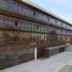 El Gobierno regional crea y regula las funciones, composición y funcionamiento del Comité de Bioética de Castilla-La Mancha