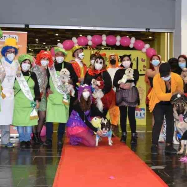 Ganadores del concurso de disfraces de animales celebrado en el carnaval de Miguelturra