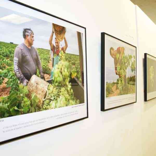 Exposición “In vino veritas” del colectivo fotográfico Raw abierta hasta el 14 de abril en Casa de Baños de Puertollano