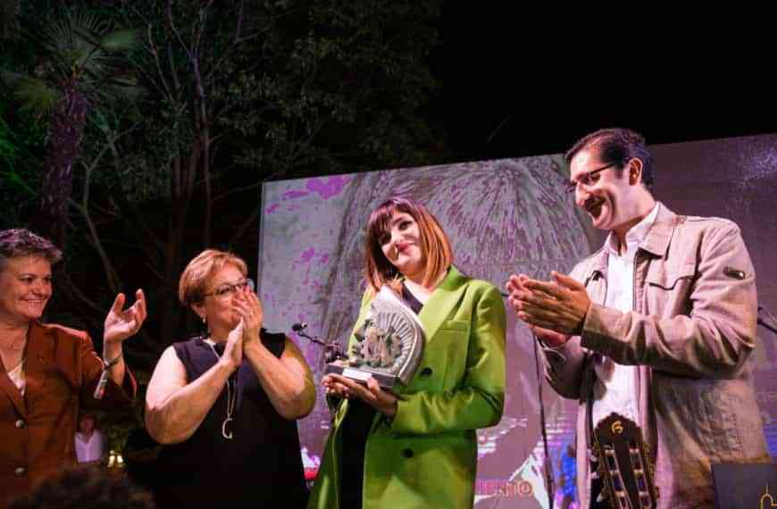 El Consejo General del Trabajo Social entrega reconocimiento a Rozalén en la categoría de comunicación