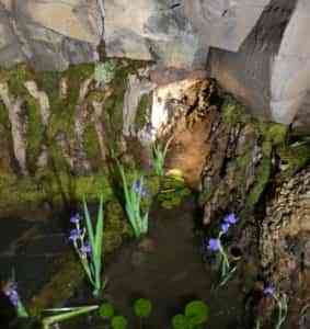 Las Cruces de Piedrabuena adornadas con el brezo que crece en sus montes y piedras de basalto que relatan su origen volcánico