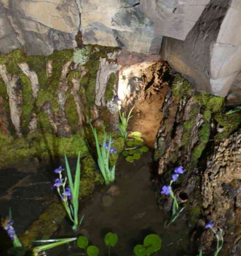 Las Cruces de Piedrabuena adornadas con el brezo que crece en sus montes y piedras de basalto que relatan su origen volcánico