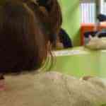 Escuelas de Verano de Albacete ofrecerá 700 plazas por quincena en julio y agosto en 11 centros educativos del municipio