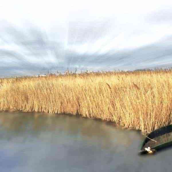 C-LM elige 'Los 22 lugares del 22' entre más de 800 espacios después de superar las 665.000 visitas a la página web