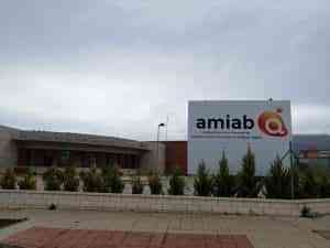 El Ayto. de Puertollano y Amiab colaborarán en la formación, experiencia y empleo de las personas con discapacidad principalmente física