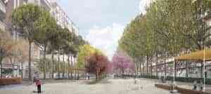 423 árboles nuevos en el Paseo del Bosque de Puertollano que se suman a los que trasplantarán afectados por las obras