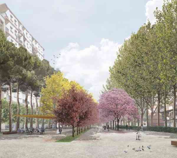 423 árboles nuevos en el Paseo del Bosque de Puertollano que se suman a los que trasplantarán afectados por las obras