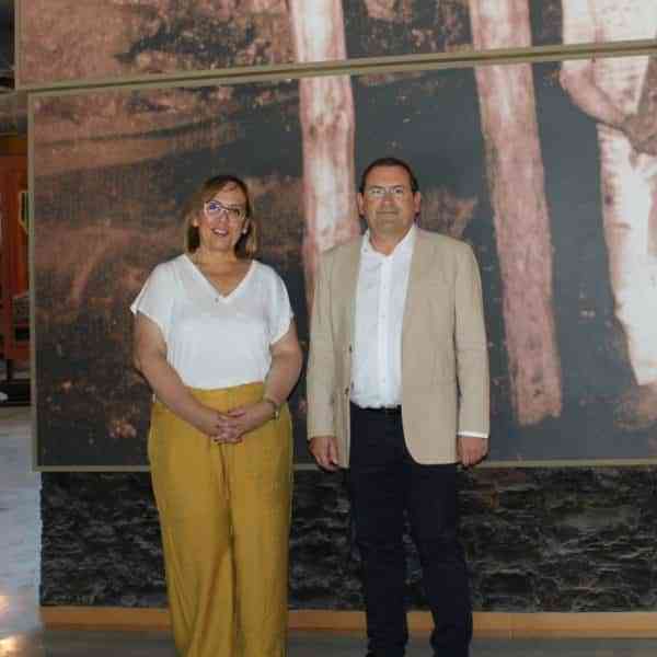 934.000 euros para las obras de rehabilitación y reforma del CIFP “Virgen de Gracia” de Puertollano