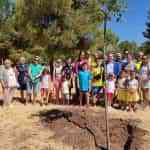 Concluyó la celebración del Día Mundial del Medio Ambiente en Puertollano con plantación de un árbol de almez