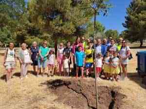 Concluyó la celebración del Día Mundial del Medio Ambiente en Puertollano con plantación de un árbol de almez
