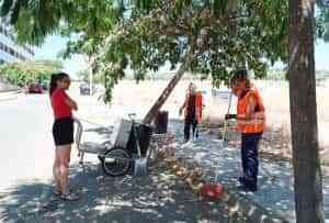 En la barriada Fraternidad de Puertollano realizan labores de limpieza 6 trabajadores del programa Integra
