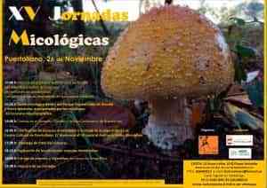 V Jornadas Micológicas  de la asociación El Ilustre Minero de Puertollano este sábado 26 de noviembre