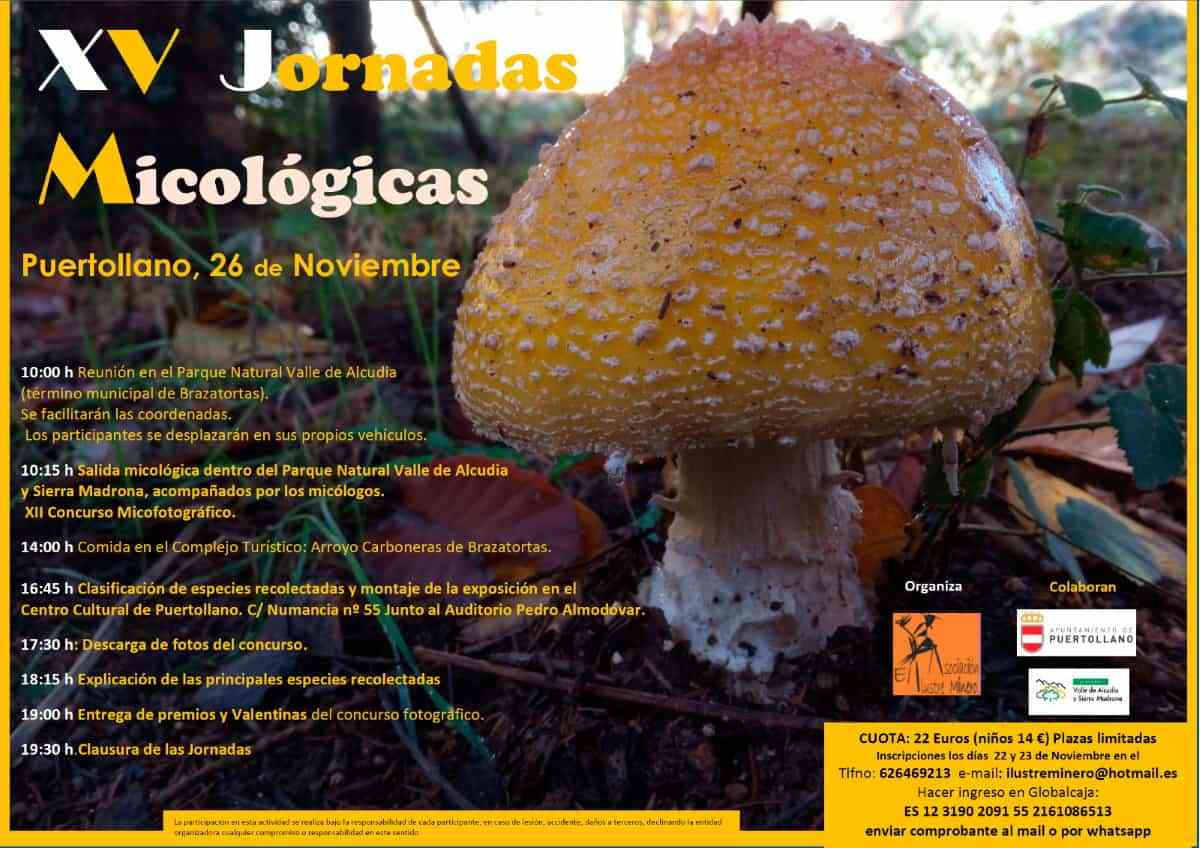 V Jornadas Micológicas  de la asociación El Ilustre Minero de Puertollano este sábado 26 de noviembre