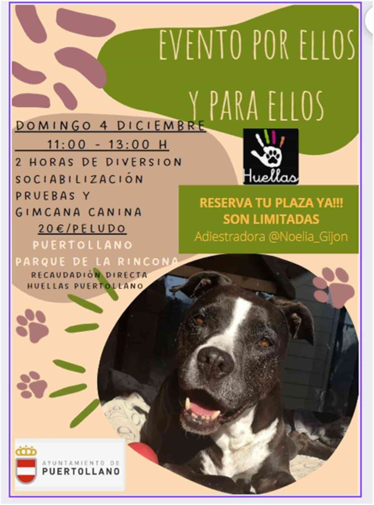 Masterclass de adiestramiento canino este domingo 4 de diciembre en el parque de La Rincona en Puertollano a favor de ‘Huellas’