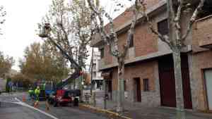 Trabajos de poda se realizarán mañana, 26 de enero, en algunas calles de Ciudad Real