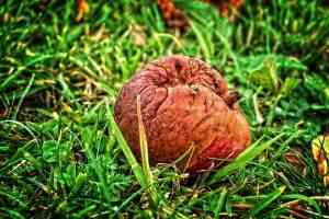 Aprobada la adjudicación de las obras del nuevo centro de salud de Albacete por el Gobierno de Castilla-La Mancha