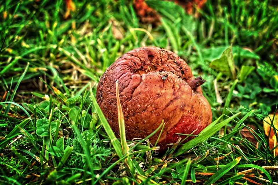 Aprobada la adjudicación de las obras del nuevo centro de salud de Albacete por el Gobierno de Castilla-La Mancha