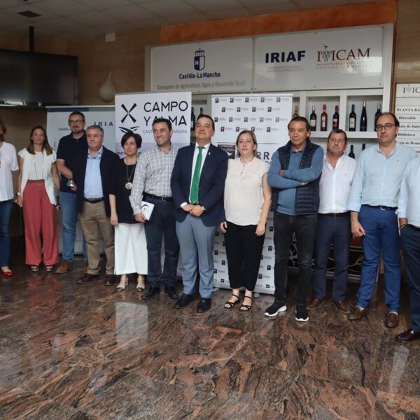 El 53% de los fondos de reestructuración de viñedo en España serán destinados a C-LM, con una cantidad de 43 millones de euros.