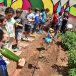 Recogidas las primeras cosechas del huerto escolar del colegio Tierno Galván de Puertollano