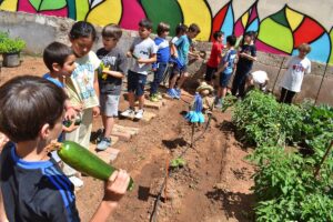 Recogidas las primeras cosechas del huerto escolar del colegio Tierno Galván de Puertollano