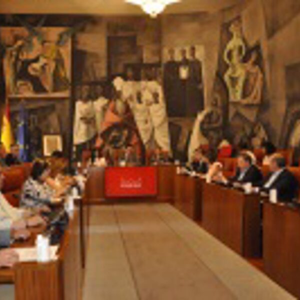 La estructura de gobierno de la Diputación de Ciudad Real recibe luz verde para recibir una retribución anual de 657.000 euros