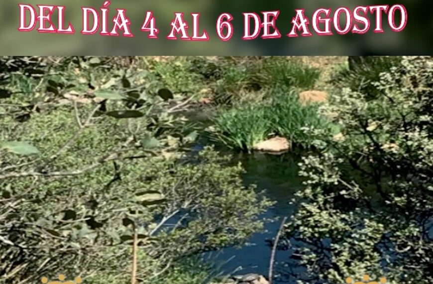 “Fiestas del agua” en El Villar de Puertollano del 4 al 6 de agosto con noches de verbena y actividades infantiles