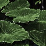 ‘Mi día en el Hospital Santa Bárbara’, el libro que la Gerencia de Puertollano utiliza para dar la bienvenida a las niños que serán intervenidos