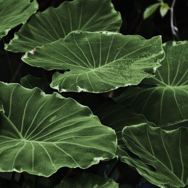 ‘Mi día en el Hospital Santa Bárbara’, el libro que la Gerencia de Puertollano utiliza para dar la bienvenida a las niños que serán intervenidos