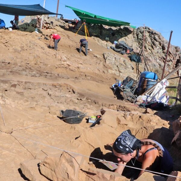 Descubren muros romanos y asentamiento histórico en yacimiento Cruz de Mayo de Brazatortas, Ciudad Real