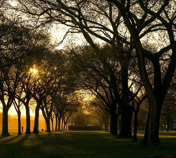 El Gobierno de Castilla-La Mancha refuerza su apoyo a las inversiones en Puertollano, incluyendo el proyecto de Freepoint