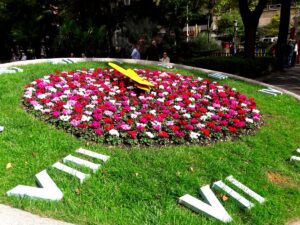 12.000 plantas invernales embellecen el Paseo y el centro de la ciudad con flores