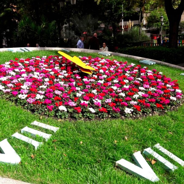 12.000 plantas invernales embellecen el Paseo y el centro de la ciudad con flores