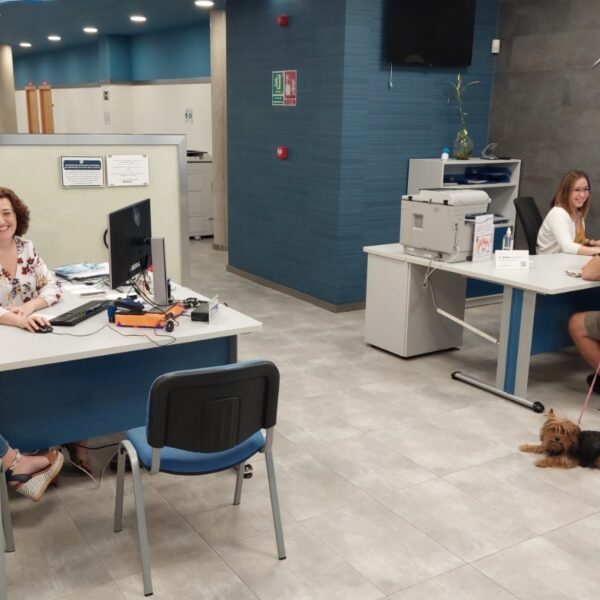 Aguas de Puertollano renueva su compromiso con la inclusión de personas con discapacidad al obtener el sello Bequal Plus