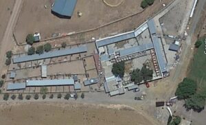 El albergue canino implementará una renovada infraestructura de saneamiento