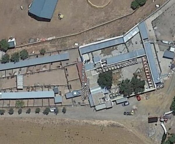 El albergue canino implementará una renovada infraestructura de saneamiento