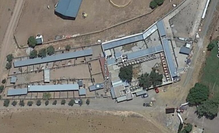 El albergue canino implementará una renovada infraestructura de saneamiento