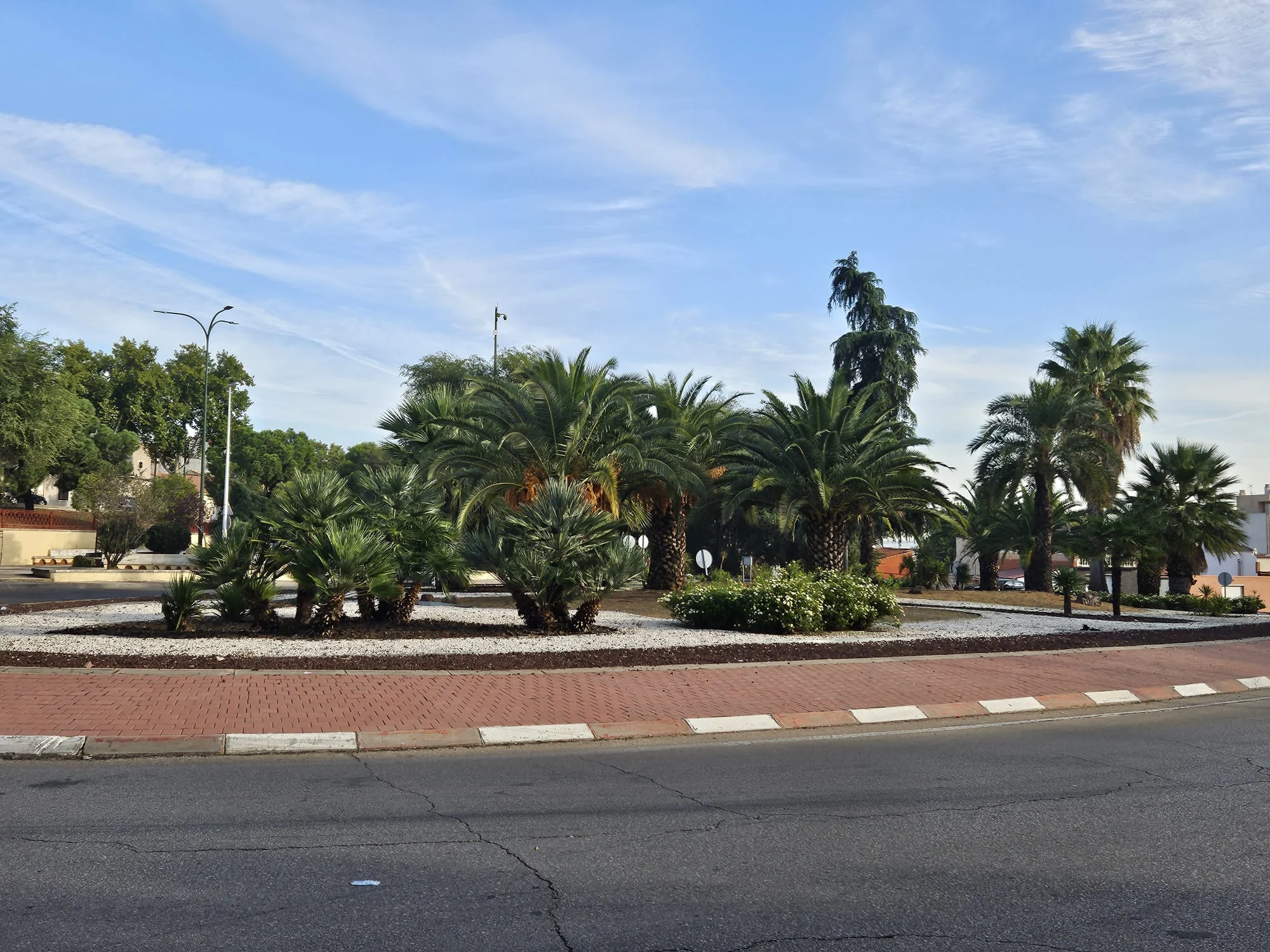 Embellecimiento de la ciudad a través de un planning de plantación, a cargo de la concejalía de Medio Ambiente, Parques y Jardines.